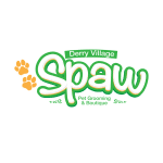 Derry Village Logo